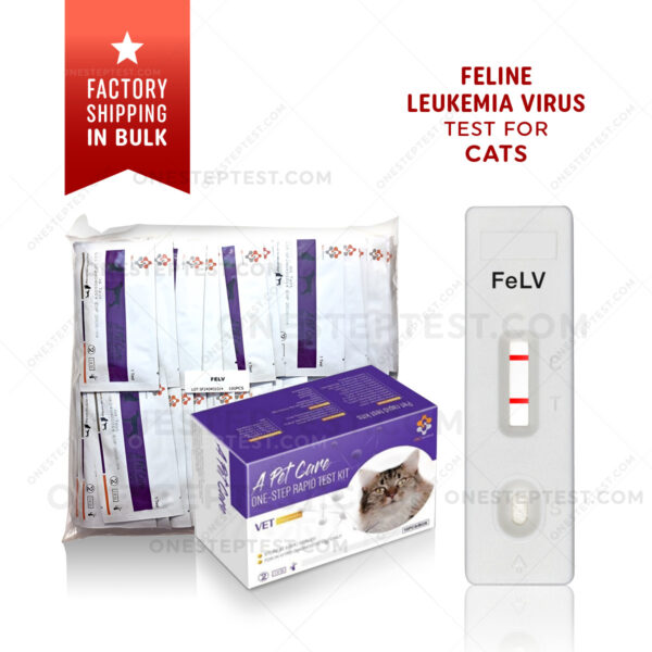 Test for FeLV in Cats - At-Home Rapid Test for Feline Leukemia