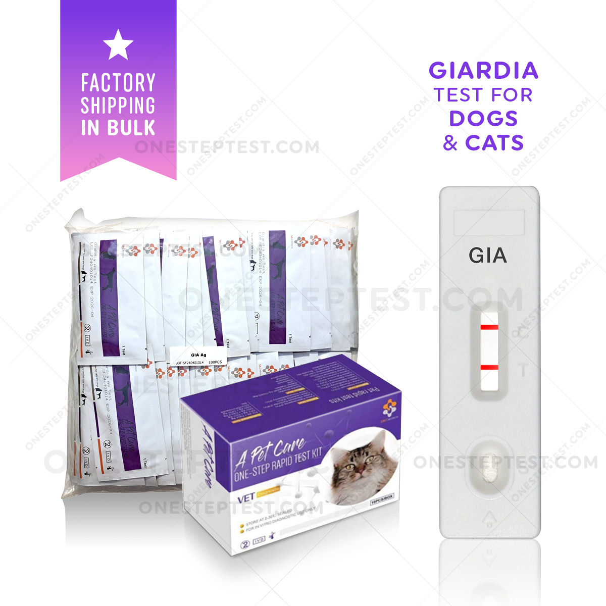 Giardia Test for Dog and Cat Rapid Canine Kit Feline Giardiasis Antigen Ag at-Home testing Feces Fecal Positive Negative A-Pet-Care One Step OST Quick instant Results Best Low Cost Near Me Nearby No Lab is serum plasma blood secretion to Use Get check complete How Much where I you can Box Snap first early symptoms signs Affordable strip Buy do they LFIA kitten pup puppy lateral flow cheap free fast vet veterinarian instructions accurate detection witness bionote bio note insenvo wholesale bulk factory direct shipping