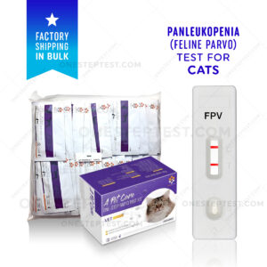 Feline Panleukopenia Test for cats Panleuk Panluk Distemper Ag Rapid FPV Virus Testing Kit Rapid Quick At-Home A-Pet-Care One Step Best Low Cost Near Me Nearby No Lab is serum plasma to know has do tell Use Get check complete How Much where there is for I you can Box first early symptoms signs Affordable strip Buy do they LFIA lateral flow cheap free fast vet veterinarian instructions diagnostic snap accurate detection witness IDEXX bionote bio note insenvo wholesale bulk factory direct shipping OST