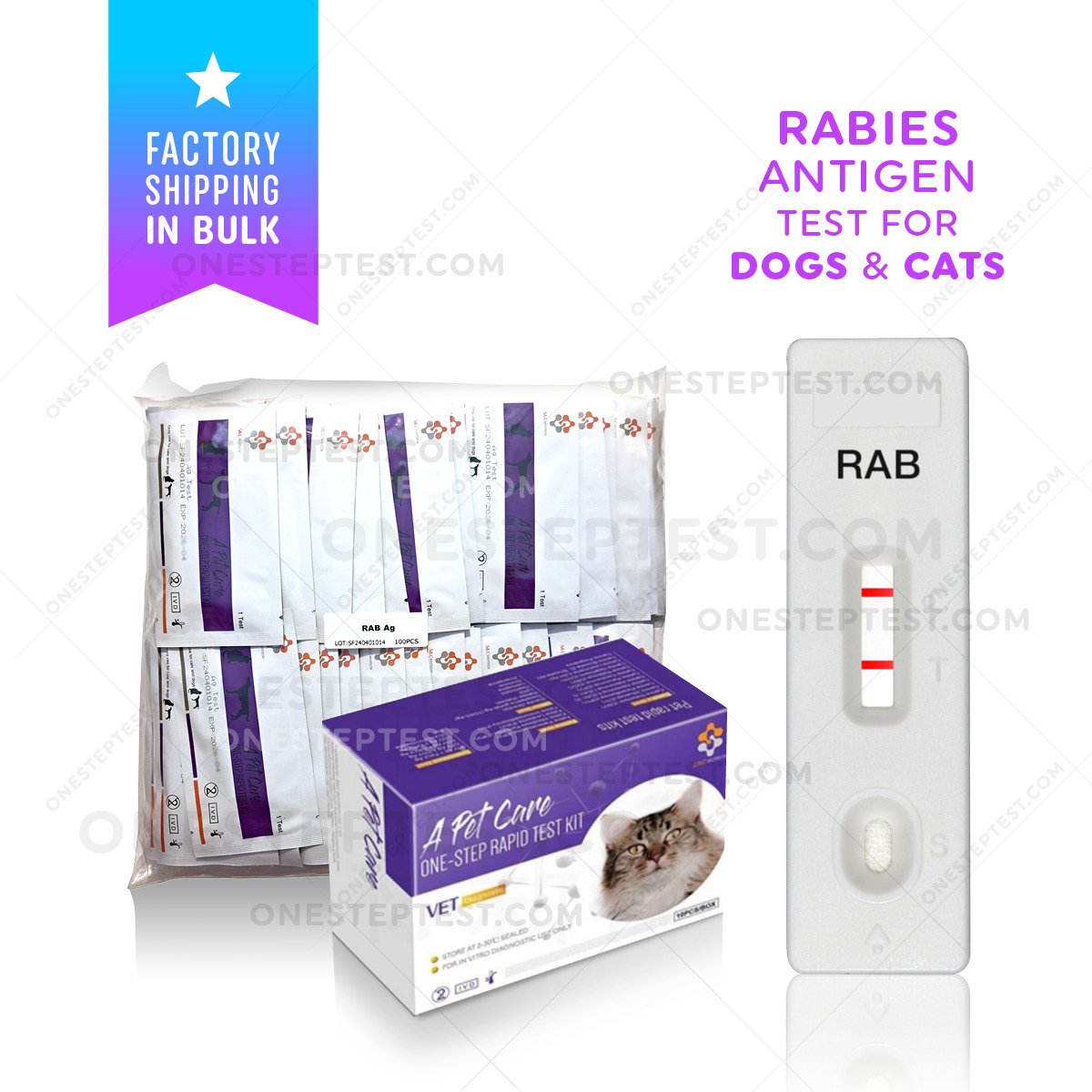 Rabies Test for Dog and Cat Rapid Canine Kit Feline RABV RAB Antigen Ag at-Home testing saliva Positive Negative A-Pet-Care One Step OST Quick instant Results Best Low Cost Near Me Nearby No Lab is secretion to Use Get check complete How Much where I you can Box Snap first early symptoms signs Affordable strip Buy do they LFIA kitten pup puppy lateral flow cheap free fast vet veterinarian instructions accurate detection witness bionote bio note insenvo wholesale bulk factory direct shipping
